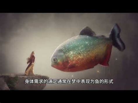 夢到龍魚號碼|樂透號碼解析